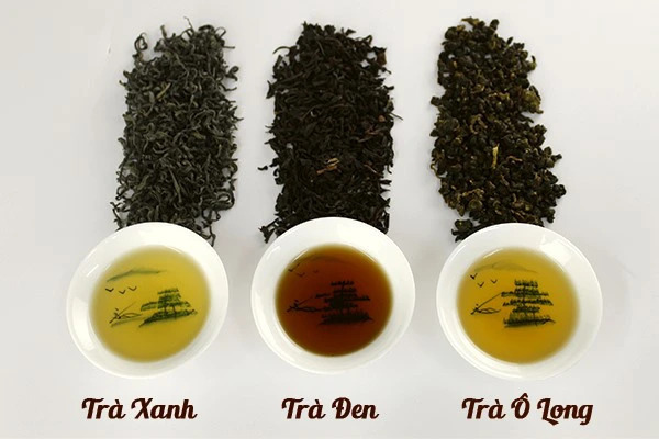 Trà xanh, trà đen và trà olong